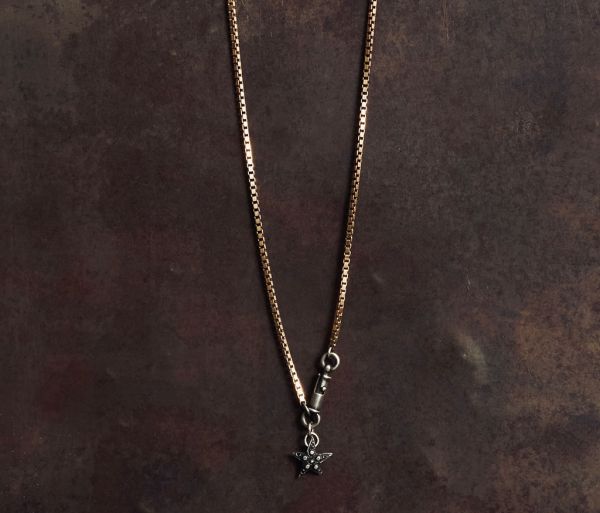 necklace symbol star silvergold